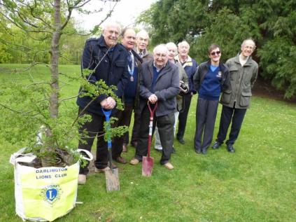 Z - Lions tree planting